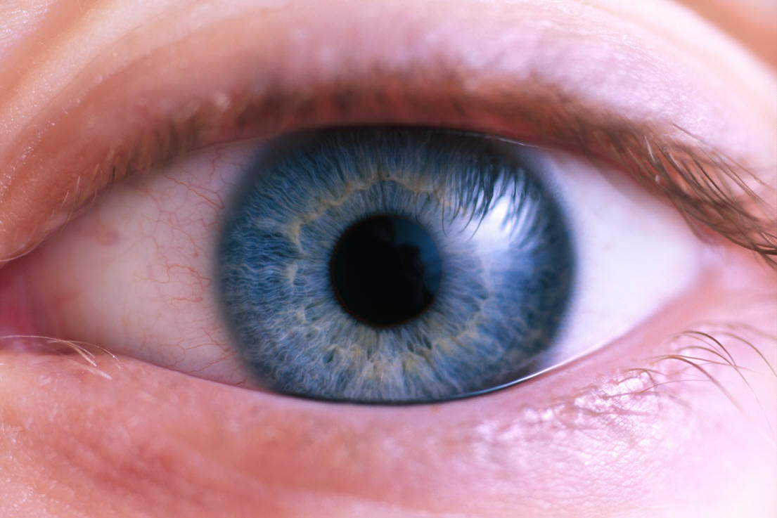 Синдром сухого глаза: признаки, симптомы, лечение препаратами и .