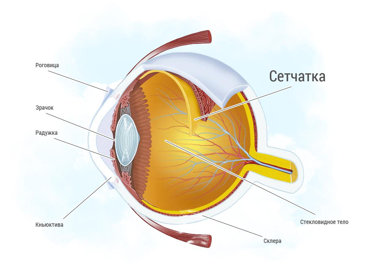 Как проверить состояние сетчатки глаза?